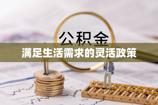 夹江满足生活需求的灵活政策