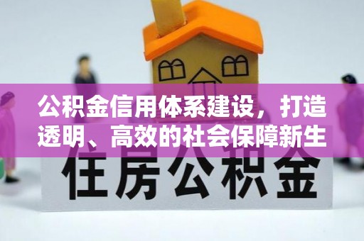 夹江公积金信用体系建设，打造透明、高效的社会保障新生态