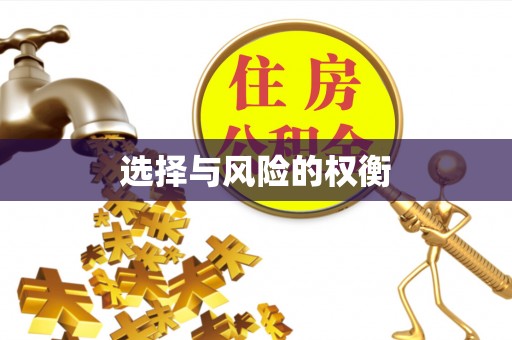 夹江选择与风险的权衡