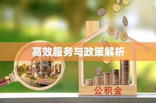 夹江高效服务与政策解析