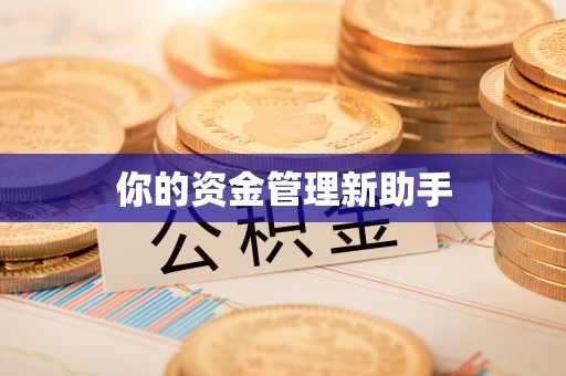夹江你的资金管理新助手