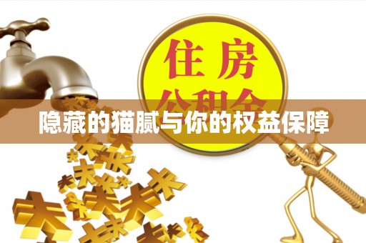 夹江隐藏的猫腻与你的权益保障