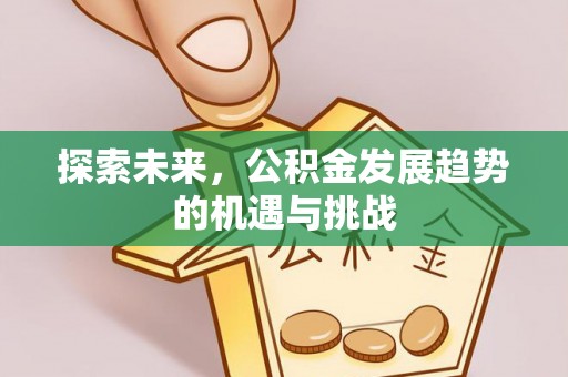 夹江探索未来，公积金发展趋势的机遇与挑战