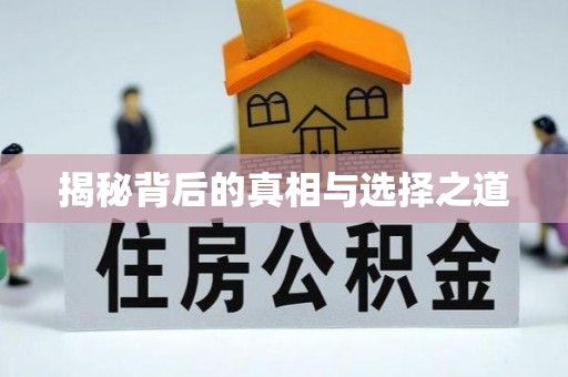 夹江揭秘背后的真相与选择之道