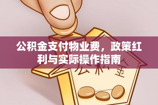 夹江公积金支付物业费，政策红利与实际操作指南