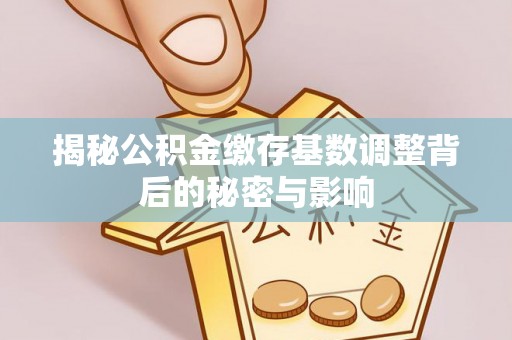 夹江揭秘公积金缴存基数调整背后的秘密与影响