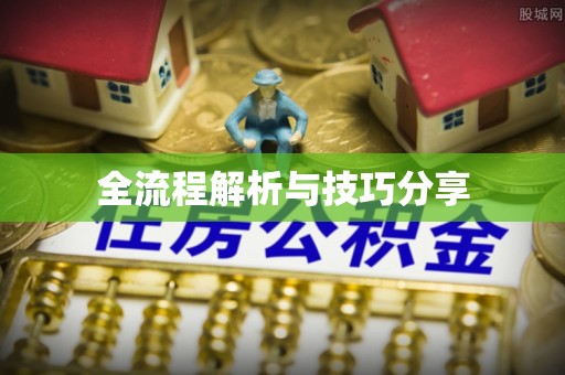 夹江全流程解析与技巧分享
