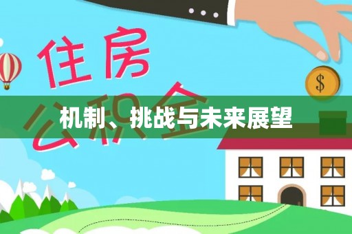 夹江机制、挑战与未来展望
