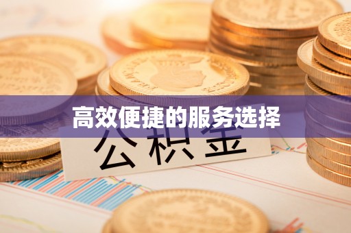 夹江高效便捷的服务选择