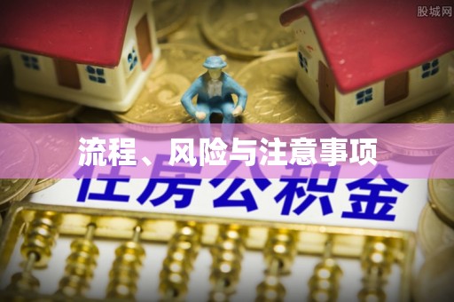 夹江流程、风险与注意事项