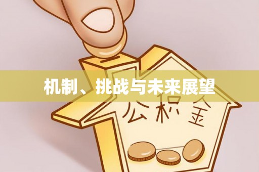 夹江机制、挑战与未来展望